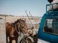 Horse next to the van at the start of a timbuktu safari. Blue motorhome in the desert starting the trip