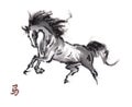 Horse oriental ink painting, sumi-e