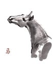 Horse oriental ink painting, sumi-e