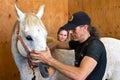 Horse osteopathy Royalty Free Stock Photo