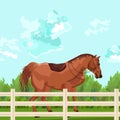 Horse outdoors Vector. Elegant Detailed animal illustration green backgrounds Royalty Free Stock Photo