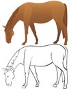 Horse outline and color