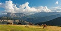 Horse over Dolomite landscape Geisler Odle mountain Dolomites Group Val di Funes Royalty Free Stock Photo