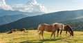 Horse over Dolomite landscape Geisler Odle mountain Dolomites Group Val di Funes Royalty Free Stock Photo