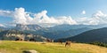 Horse over Dolomite landscape Geisler Odle mountain Dolomites Group Val di Funes Royalty Free Stock Photo