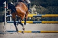 The horse overcomes an obstacle. Equestrian sport, jumping. Overcome obstacles Royalty Free Stock Photo
