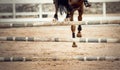 The horse overcomes an obstacle. Equestrian sport, jumping. Overcome obstacles Royalty Free Stock Photo