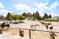 horse paddock near Goreme town in Cappadocia Royalty Free Stock Photo