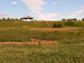 Horse Pasture Royalty Free Stock Photo