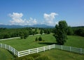 Horse Pasture in South Carolina Royalty Free Stock Photo