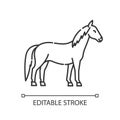 Horse pixel perfect linear icon
