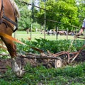 Horse ploughing Royalty Free Stock Photo