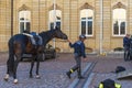 Horse police at work