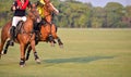 Horse polo player battle in match. Royalty Free Stock Photo