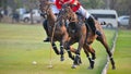 Horse Polo Player battle Royalty Free Stock Photo