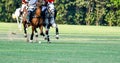 Horse Polo Player