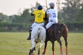 The horse polo player and horse are battle in polo match Royalty Free Stock Photo