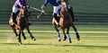 Horse Polo Player Battle Royalty Free Stock Photo