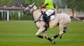 Horse polo player riding