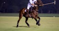 Night Polo Tournament