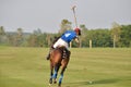 Horse polo player riding to hit a ball