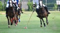 Battle in horse polo sport Royalty Free Stock Photo