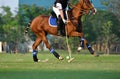 Horse polo player use a mallet hit ball Royalty Free Stock Photo