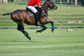 Horse polo player use a mallet hit ball Royalty Free Stock Photo