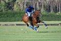 Horse polo player use a mallet hit ball Royalty Free Stock Photo