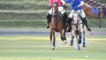 Horse polo players are competing in the polo field Royalty Free Stock Photo