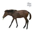 Horse polygon vector