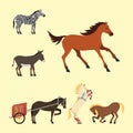 Horse pony stallion isolated different breeds color farm equestrian animal characters vector illustration.