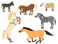 Horse pony stallion isolated different breeds color farm equestrian animal characters vector illustration.