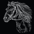 Horse portrait black 21 Royalty Free Stock Photo