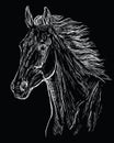 Horse portrait black 23 Royalty Free Stock Photo