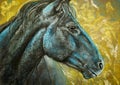 Horse portrait charcoal and pastels Royalty Free Stock Photo