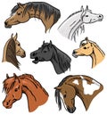 Horse Portrait Collection