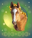 Horse portrait with flowers 32 Royalty Free Stock Photo