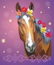 Horse portrait with flowers7