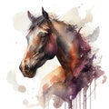 Horse portrait made using watercolor technique. Stallion animal wild or domesticated on a white background with Royalty Free Stock Photo