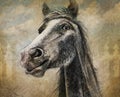 Horse portrait in multimedia digital and charcoal