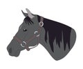 Horse portrait vector illustration, color illustration Royalty Free Stock Photo