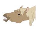 Horse portrait vector illustration, color illustration Royalty Free Stock Photo
