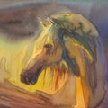 Horse profile square watercolor Royalty Free Stock Photo