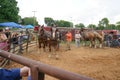 Horse pull at Adams, Tennessee during the 51st annual Tennessee Kentucky Threshermen Show