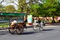 Horse pulled carriage in the streets of Jaipur Rajasthan India