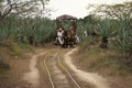 Horse pulled cart running on rails at Hacienda Sotuta de Peon