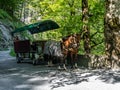 A horse pulled wagon on the street near the Tamina gorge in Switzerland
