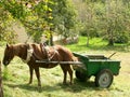 Horse pulling a cart