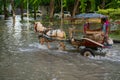 Jakarta, Java / Indonesia - Feb 23 2020: Horse pulling a cart on a flooded street